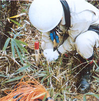 �e���g�T��(����{��)