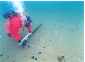 ���������C�T����