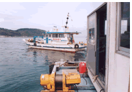 �g�q�����C�T���i�g�q�D�ƍ�Ƒ�D�j