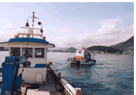 �g�q�����C�T���i��Ƒ�D�Ɖg�q�D�j