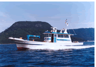 ���C�T���E�C���Ǝx���D