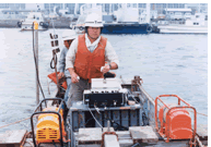 ���q�����C�T��