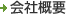 ЊTv